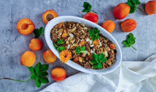 Saftiger Marillen/ Aprikosen-Crumble: Gesund, vegan und ohne Zucker – dein Wohlfühl-Dessert