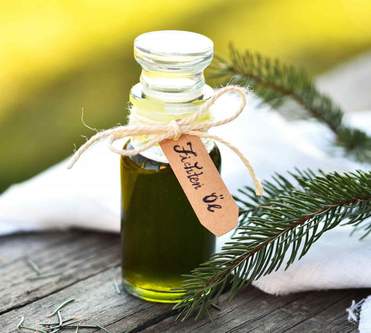 Fichtennadelöl selber herstellen