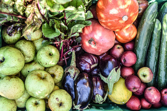 Vegane/Pflanzliche Ernährung leicht gemacht: Deine Schritt-für-Schritt-Anleitung mit Tipps und persönlichen Erfahrungen