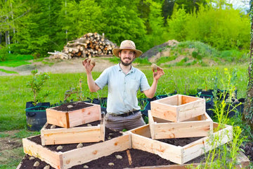 Kartoffelpyramide bauen – bis zu 50 kg Kartoffeln auf kleinem Raum ernten