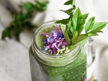 Wildkräuter-Smoothie: Detox im Glas