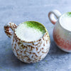 Pflanzenmilch selber machen – Der Onlinekurs mit 60 Rezepten