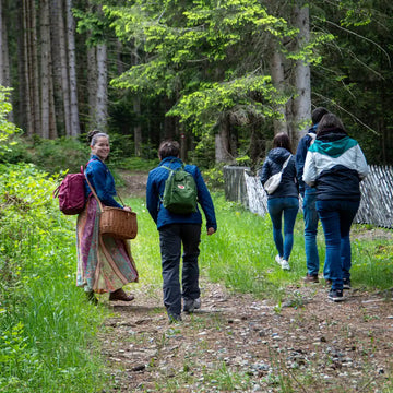 Gruppe bei geführter Kräuterwanderung im Wald, Teilnehmer folgen der Leiterin mit Sammelkorb durch die Natur