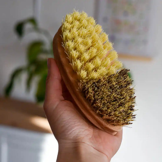 Gemüsebürste aus Holz mit Naturborsten wird in der Hand gehalten – ideal zum gründlichen Reinigen von Gemüse ohne Plastik.
