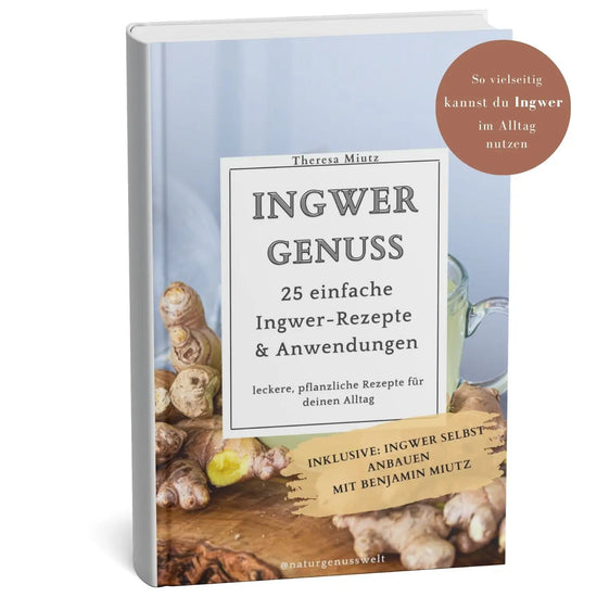 3D-Darstellung des E-Books „Ingwer Genuss“ mit Ingwerwurzel und Ingwertee auf dem Cover, pflanzliches Rezeptbuch mit 25 Ingwer-Rezepten, Anwendungen und Anleitung zum Ingwer-Anbau