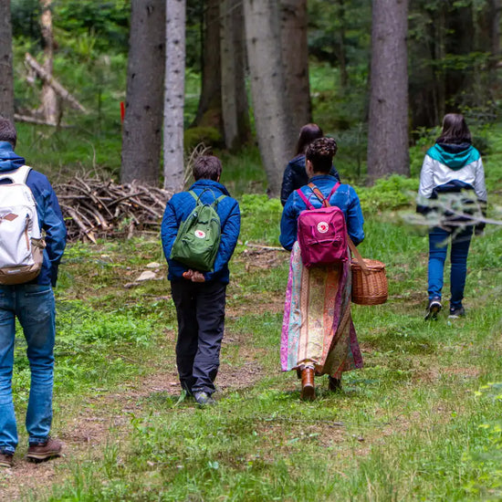 Geführte Kräuterwanderung im Wald: Menschen sammeln Wildkräuter achtsam in der Natur bei einer gemeinsamen Wanderung