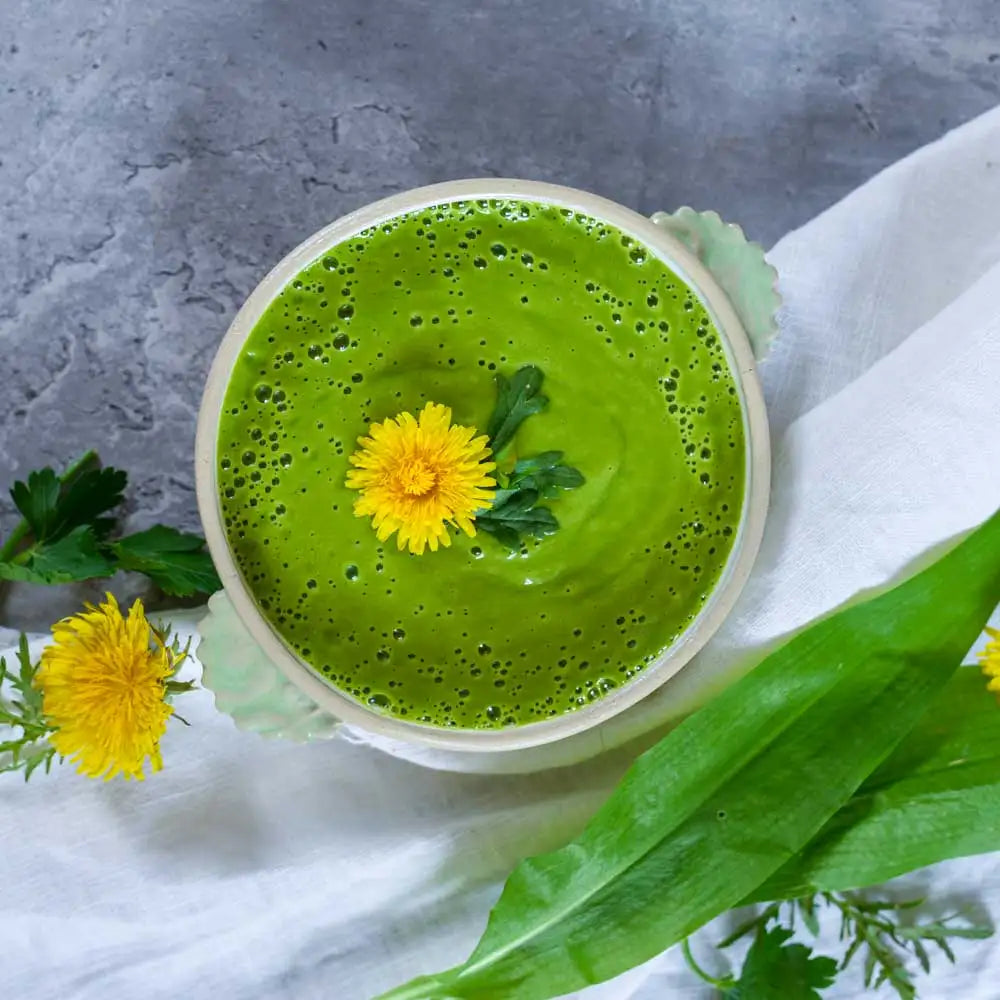 Cremige grüne Wildkräutersuppe mit Bärlauch und Löwenzahnblüte in einer Keramikschale. Frische Frühlingskräuter auf hellem Untergrund für eine gesunde, natürliche und vitalstoffreiche Ernährung.