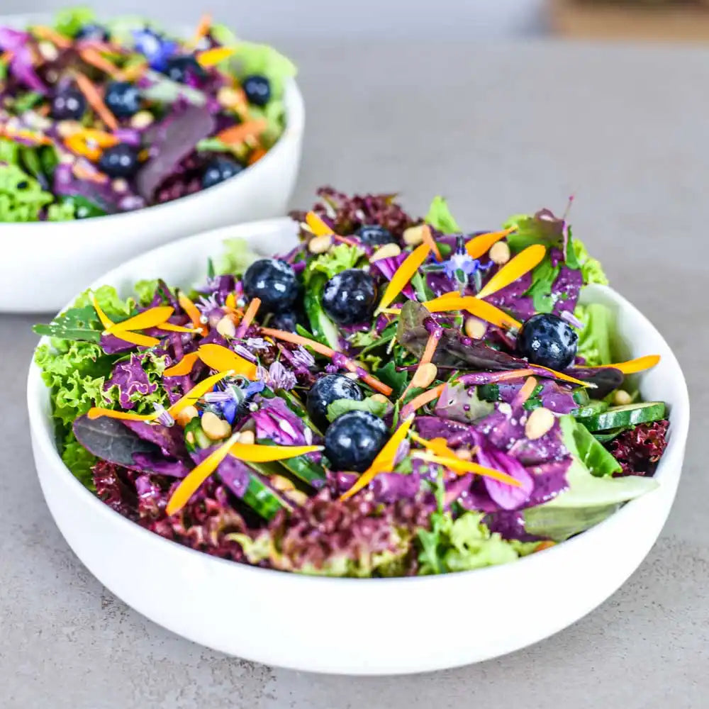 Frischer Sommersalat mit Heidelbeeren, Gurken, bunten Blattsalaten und essbaren Blüten als leichte pflanzliche Longevity-Küche.