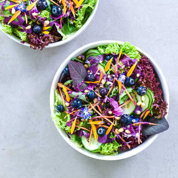 Bunter Blattsalat mit Heidelbeeren, Gurken, essbaren Blüten und frischen Kräutern als vitalstoffreiche Sommermahlzeit.