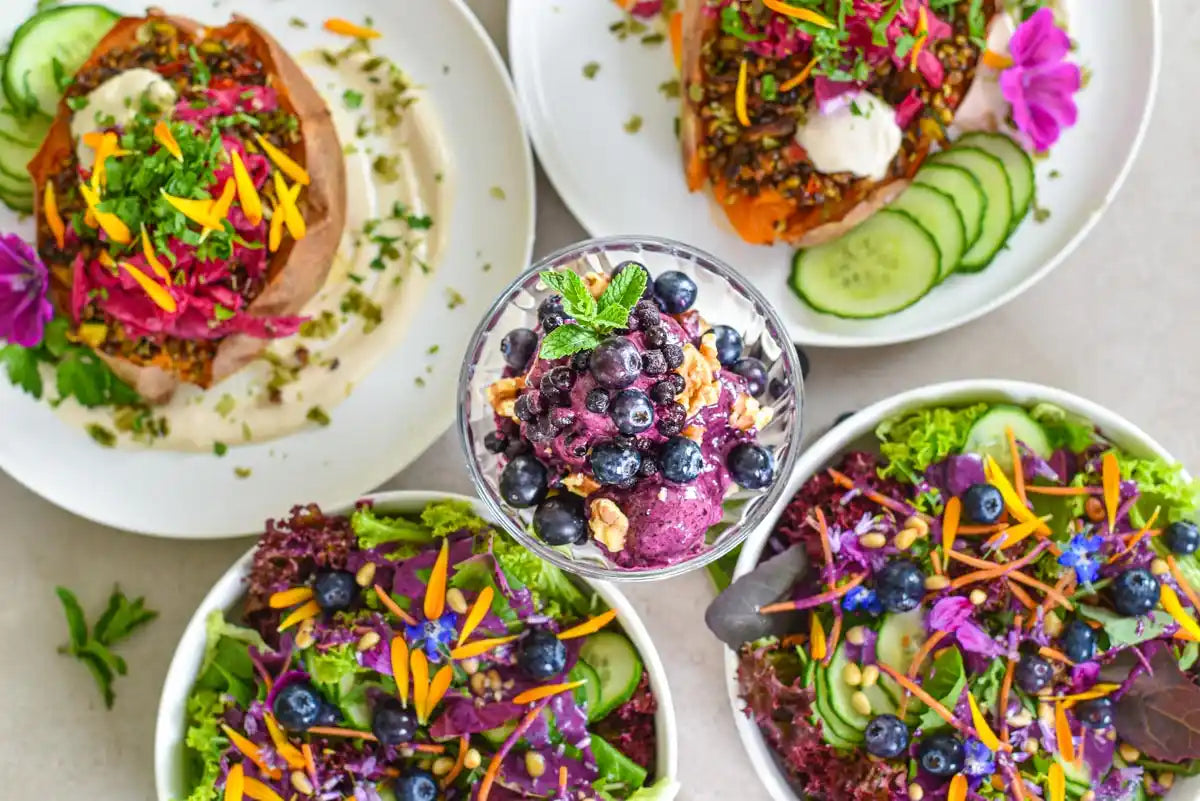 Sommerliches Longevity-Menü mit gefüllter Süßkartoffel, buntem Beeren-Salat und gesundem Heidelbeer-Dessert aus pflanzlicher Küche.